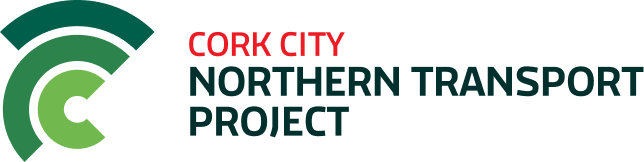 Cork City Council Consultation